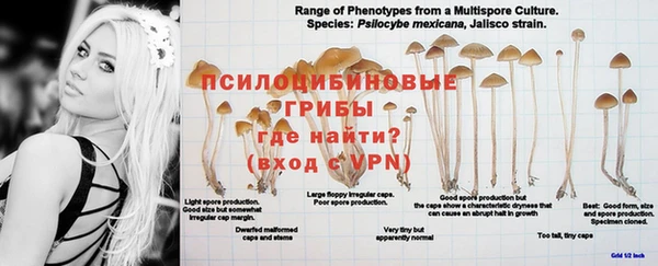 гашиш Балабаново